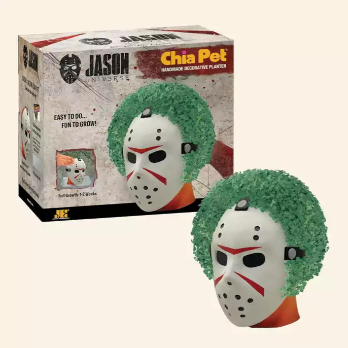 Jason Chia Pet